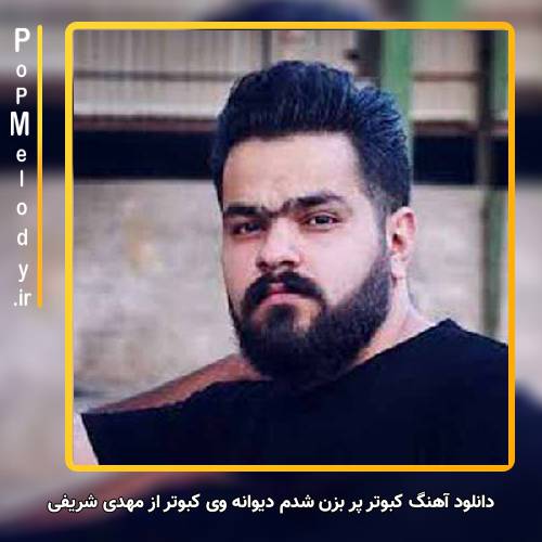 دانلود آهنگ مهدی شریفی کبوتر پر بزن شدم دیوانه وی کبوتر